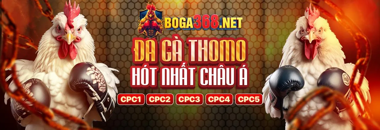 Đá gà trực tuyến 999ok Game Bài